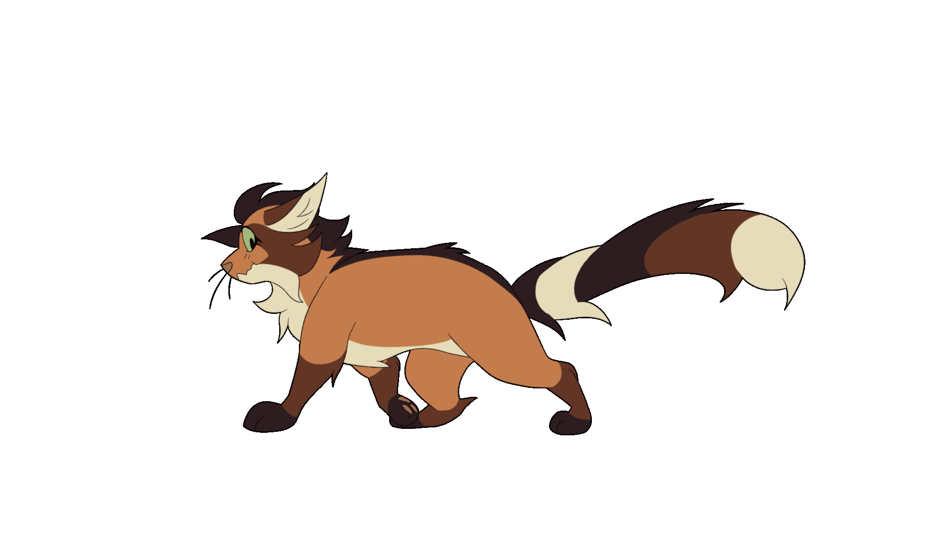 Colored 12 FPS cycle